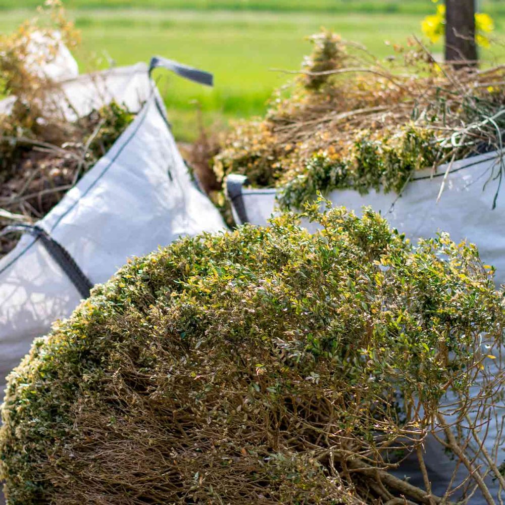 Garden Waste Clearance